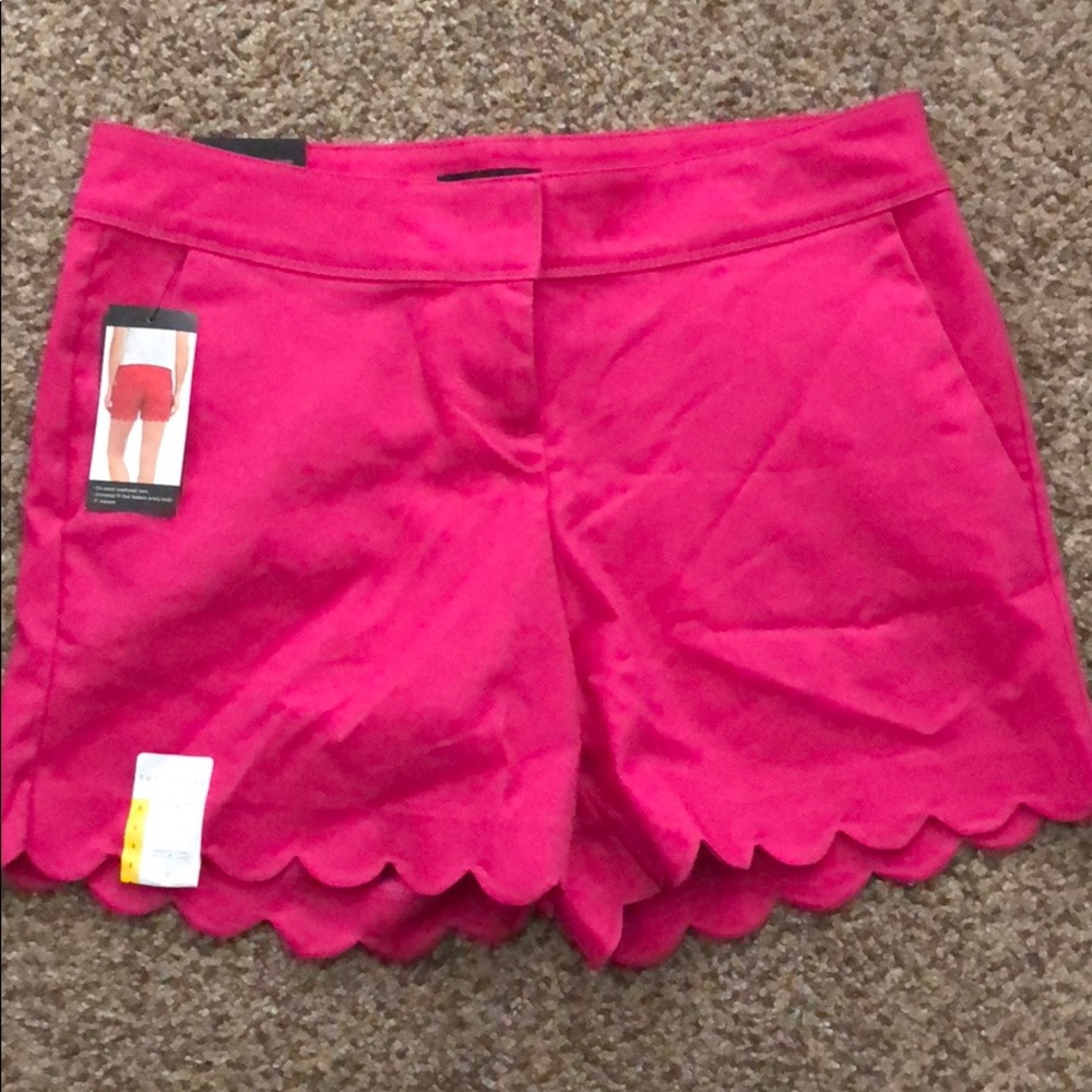 The Limited Shorts